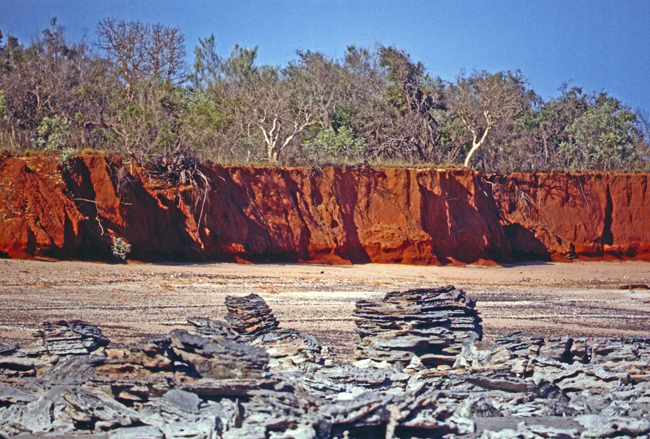 Australien pur an der Roebuck Bay